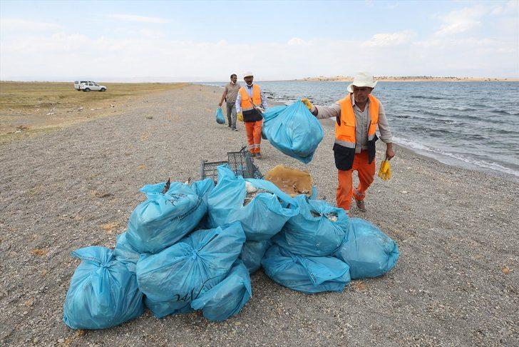 Van'da açlık ve sıcaktan yüzlerce martı öldü  G5