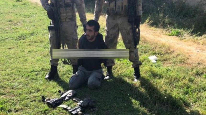 Van'daki operasyonda terörist ağaçta yakalandı 