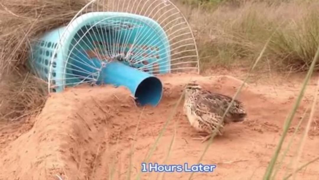 &Ouml;yle bir şey yakaladı ki... 