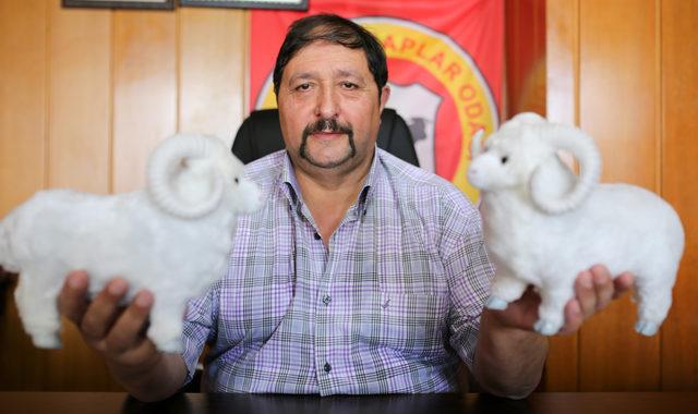 Antalya Kasaplar Odası Başkanı'ndan 'mini koç' satışına tepki