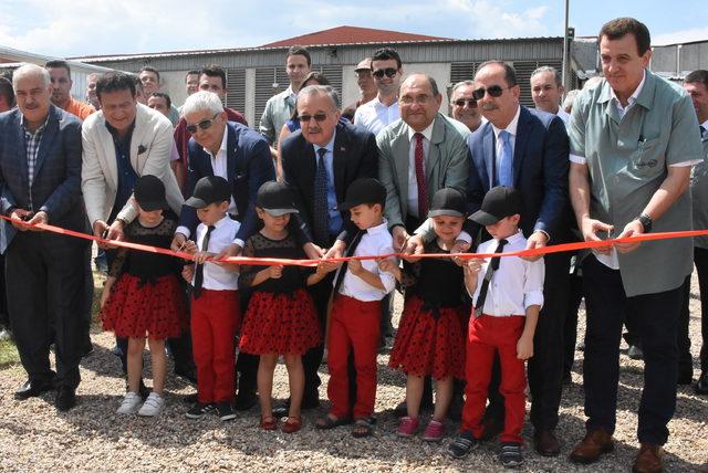 Edirne'de tekstil fabrikası, enerjisini güneşten üretecek