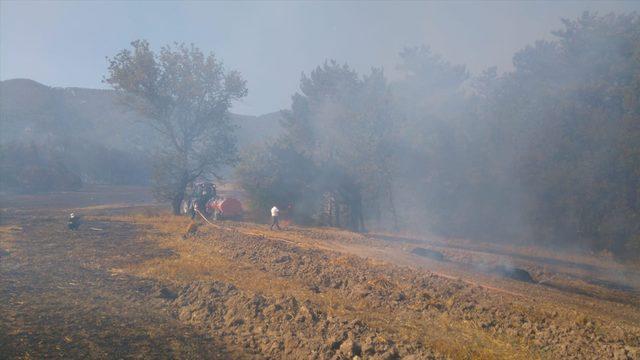 Bolu'da orman yangını