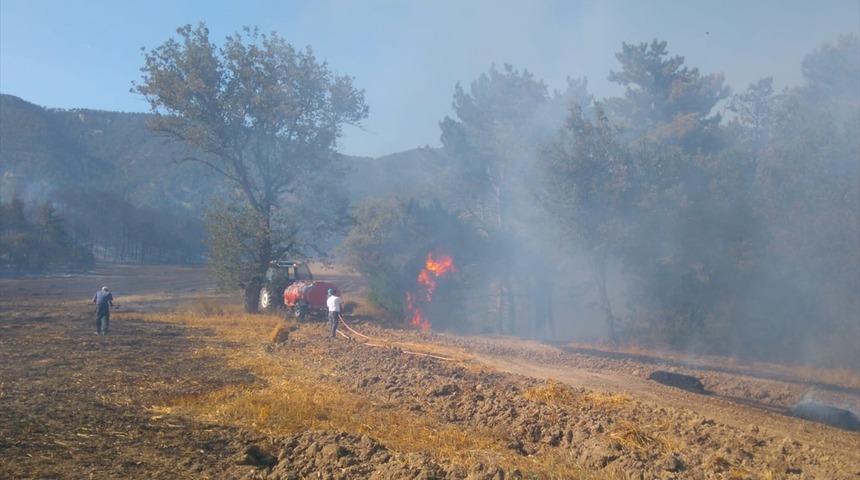 GÜNCELLEME - Bolu'da orman yangını