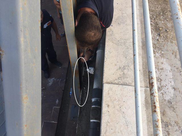 Yangın merdiveni ile duvar arasında sıkışan kediyi, itfaiye kurtardı