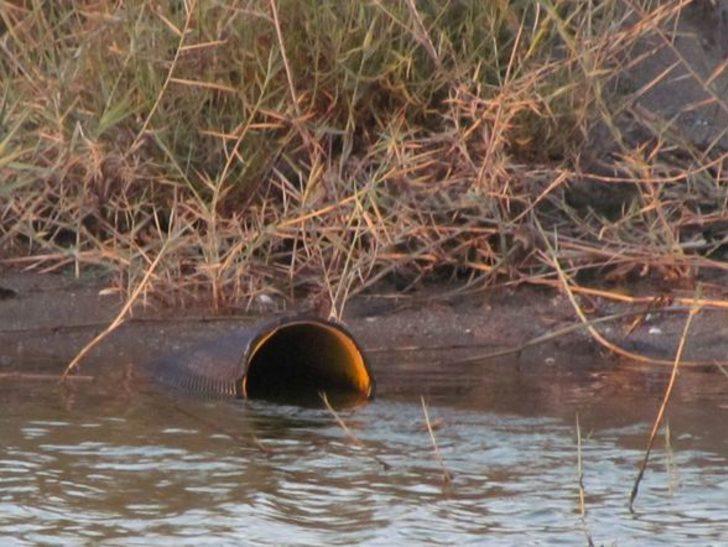 Kuşadası’nda 'Kocagöl' alarmı  G5