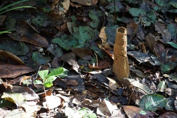 Bunun ne olduğunu biliyor musunuz?  G4