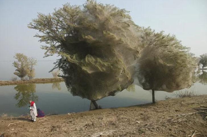 Bunun ne olduğunu biliyor musunuz?  G5