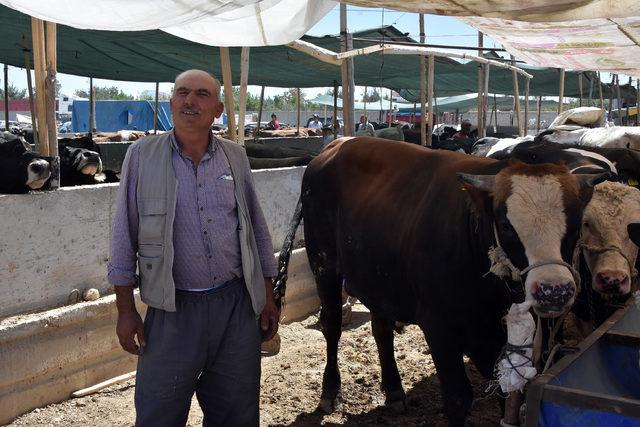 Kurbanlık satıcıları son günü bekliyor