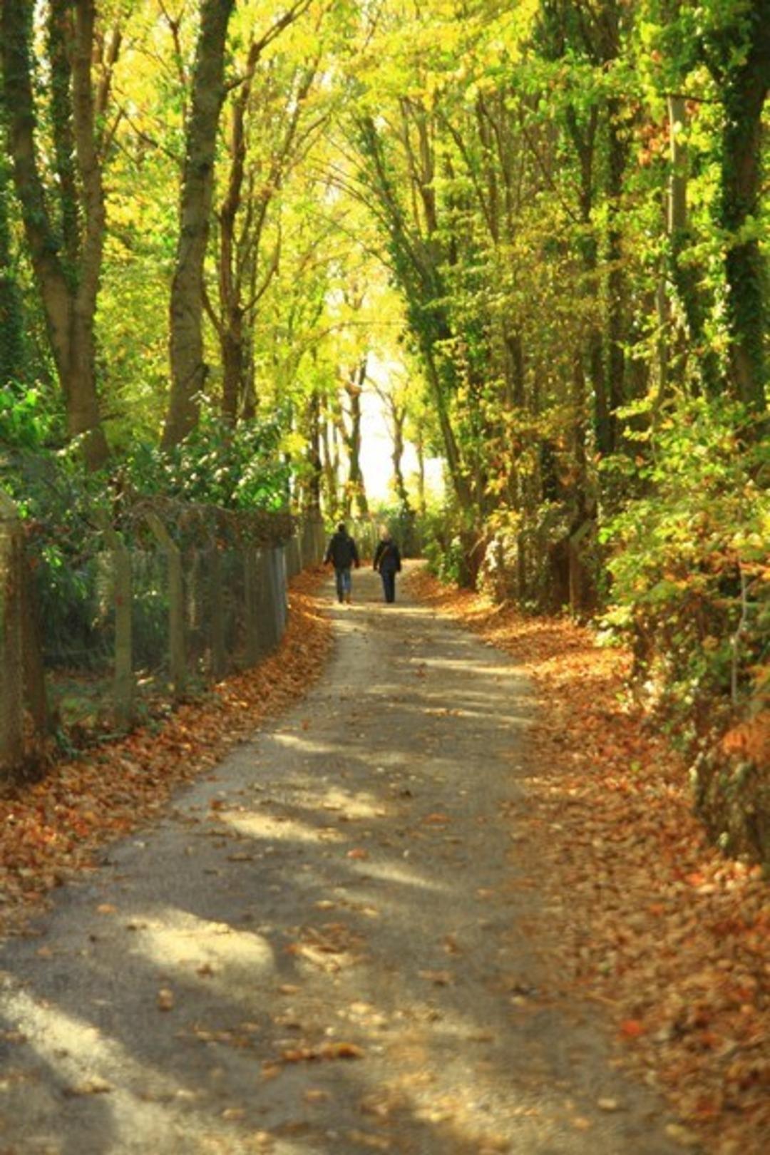 İstanbul'a yakın hafta sonu gidilebilecek yerler 