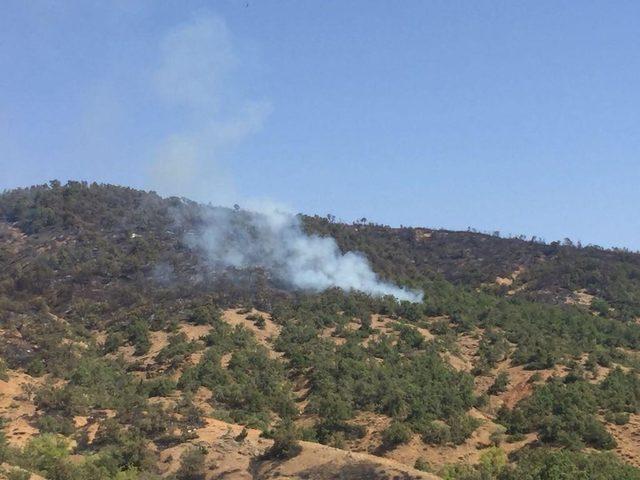 Tunceli de orman yangınları haberine yalanlama&nbsp; 2