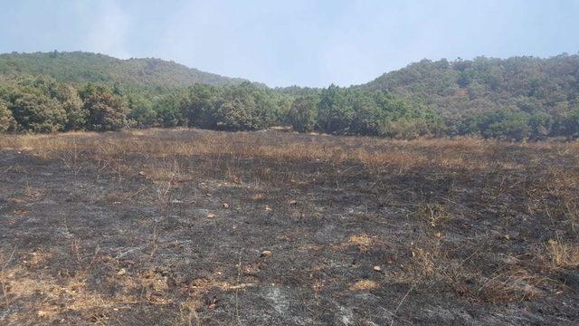 Tunceli de orman yangınları haberine yalanlama&nbsp; 3
