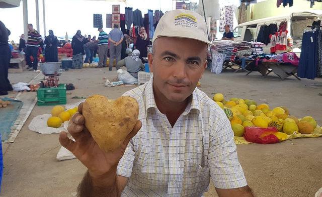 Kalp şeklindeki patates ilgi çekti