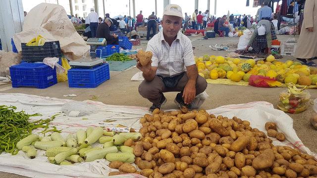 Kalp şeklindeki patates ilgi çekti