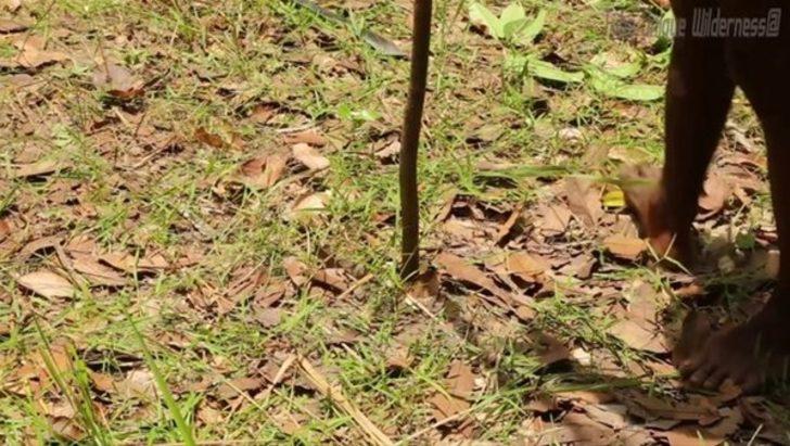 Ne yaptığını öğrenince çok şaşıracaksınız  G1