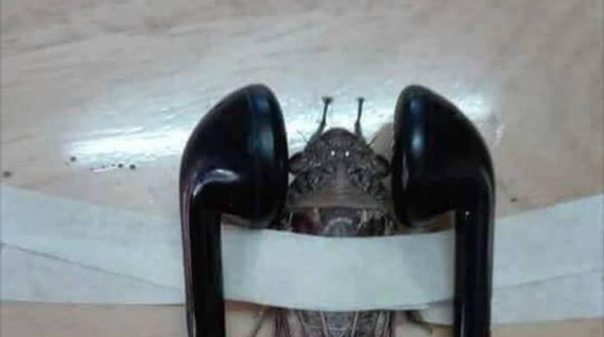 &Ouml;ğretmenden tepki &ccedil;eken ağustos b&ouml;ceği paylaşımı