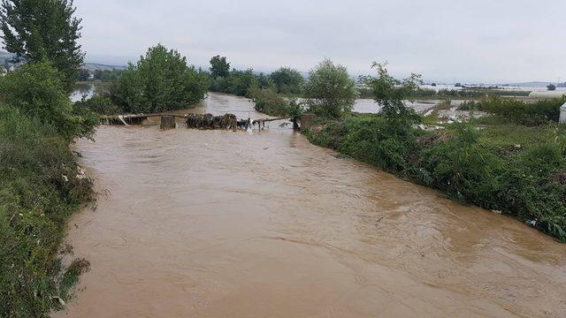 Kosova'da aşırı yağışlar sebebiyle sel oldu 