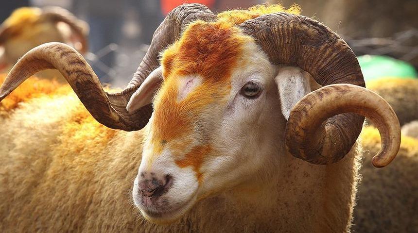 Bayram Namazı Saatleri ve Kurban Bayramı mesajları