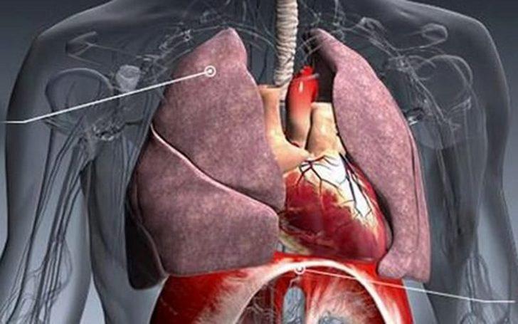 İnsan bedeninin bilinmeyen gerçekleri G1