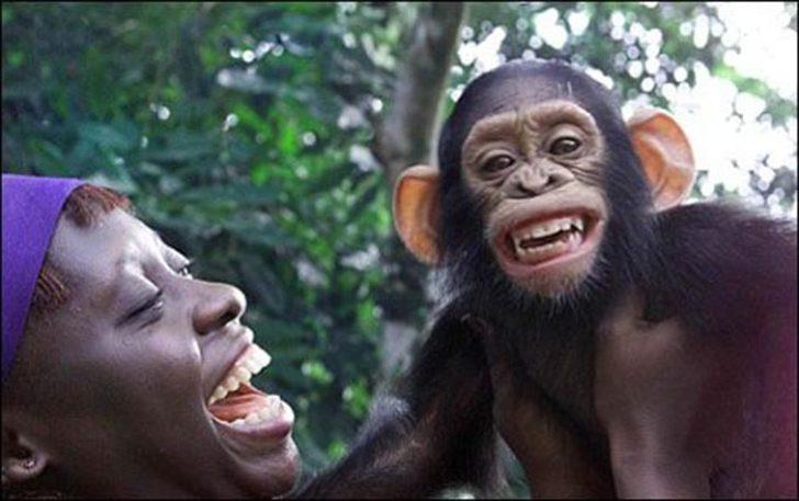 İnsan bedeninin bilinmeyen gerçekleri G4