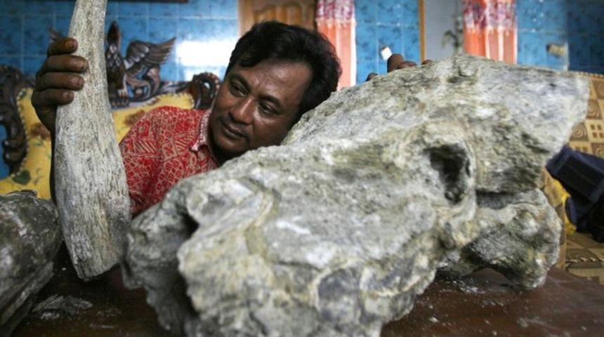 3 milyon yıllık fil kemiği bulundu