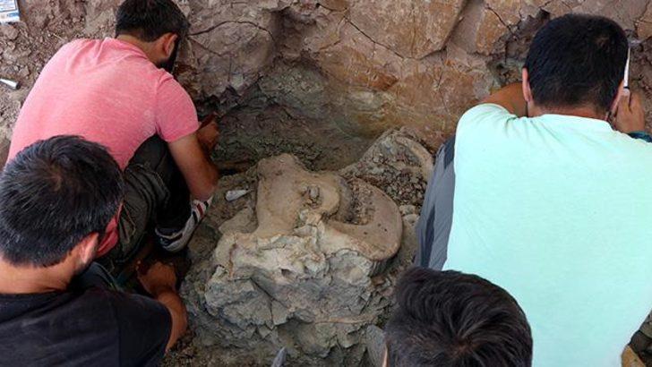 Çankırı'dan 140 hayvan fosili çıktı! Öyle bir tanesi var ki... G2