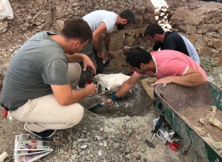 Çankırı'dan 140 hayvan fosili çıktı! Öyle bir tanesi var ki... G4
