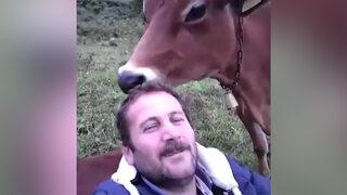 Saçlarını ineğe yalattı, sosyal medya yıkıldı
