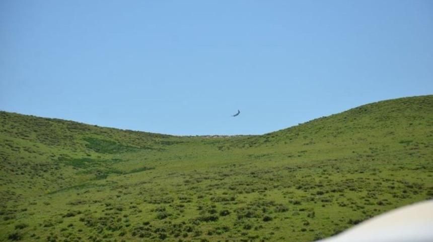 TSK: Yüksekova ve Irak'ın kuzeyinde 7 terörist öldürüldü