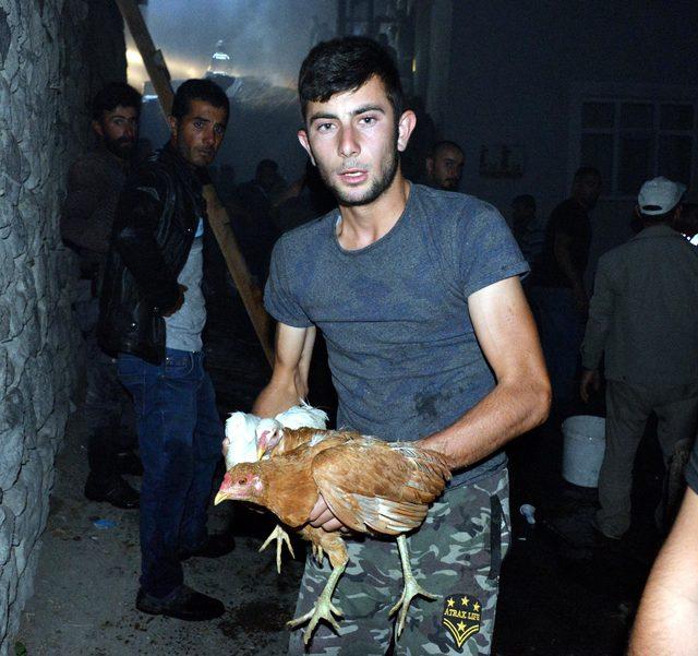 Erzurum'daki köy yangınında can pazarı yaşandı: 25 büyükbaş hayvan telef oldu