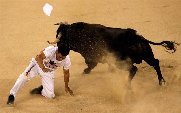 Boğa gösterisinde bu kez kan dökülmedi  G4