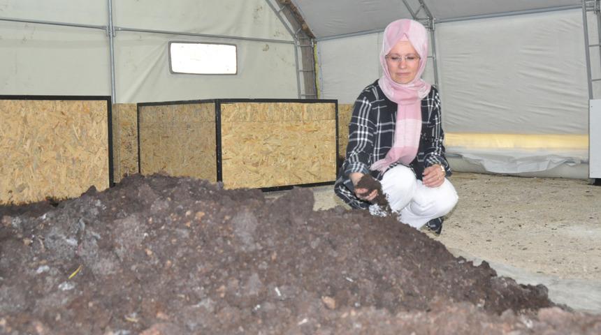 Kadın girişimci, 700 bin solucanla gübre üretiyor