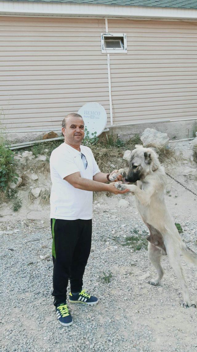 Hareketsiz bulduğu kuşa, kalp masajı yaptı