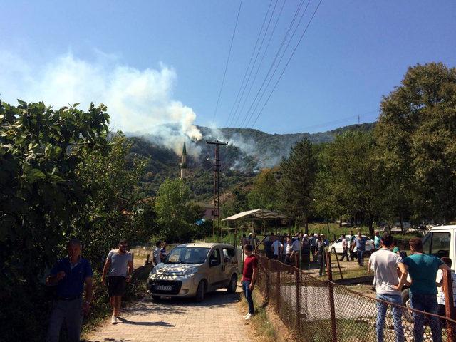 Zonguldak'ta orman yangını 3 saatte söndürüldü