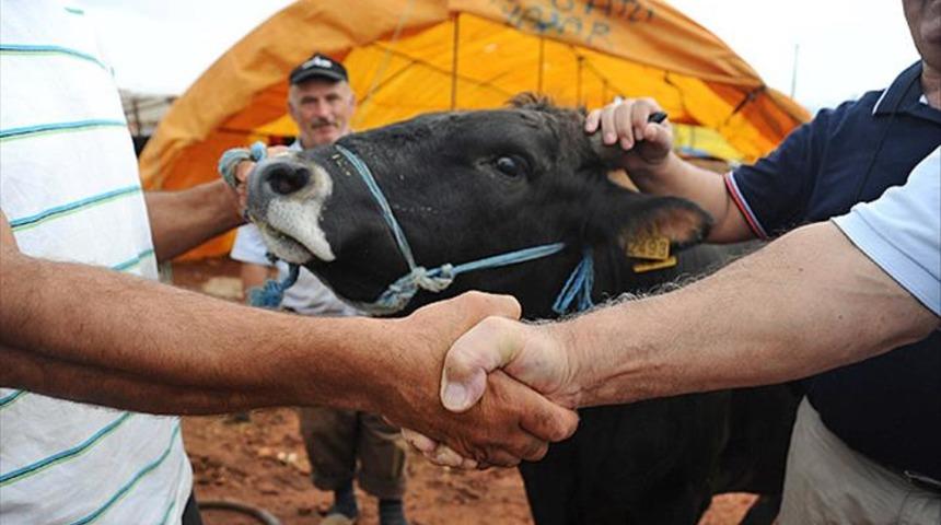 Kurban velaketi nasıl verilir, nasıl alınır? Diyanete göre kurban velaketi hükmü nedir?