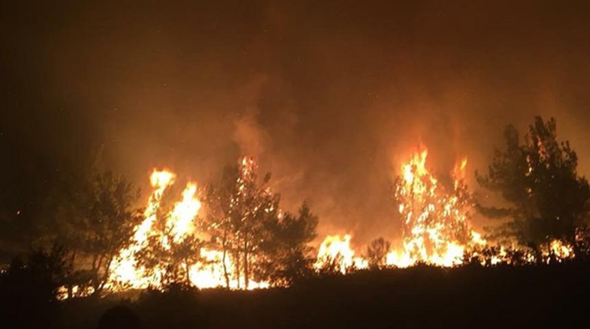 Manisa’da ormanlık alanda yangın çıktı! Çok sayıda ekip bölgeye sevk edildi