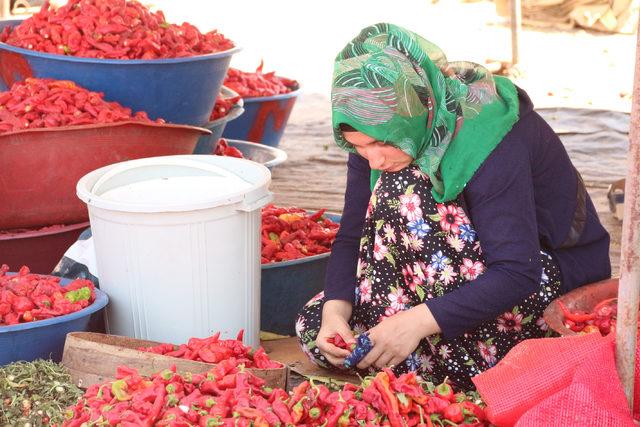 Sıcak havada acı mesaisi