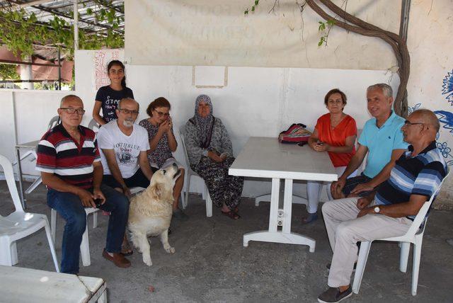 Danıştay, Çeşme'nin Slow Food Köyü'nde kalker ocağına verilen ÇED'i iptal etti