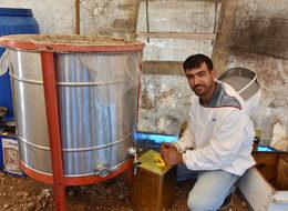 Lavanta balının kilosu 250 lira