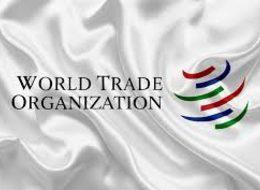 Türkiye ABD'nin hukuksuz kararını DTÖ'ye şikayet etti