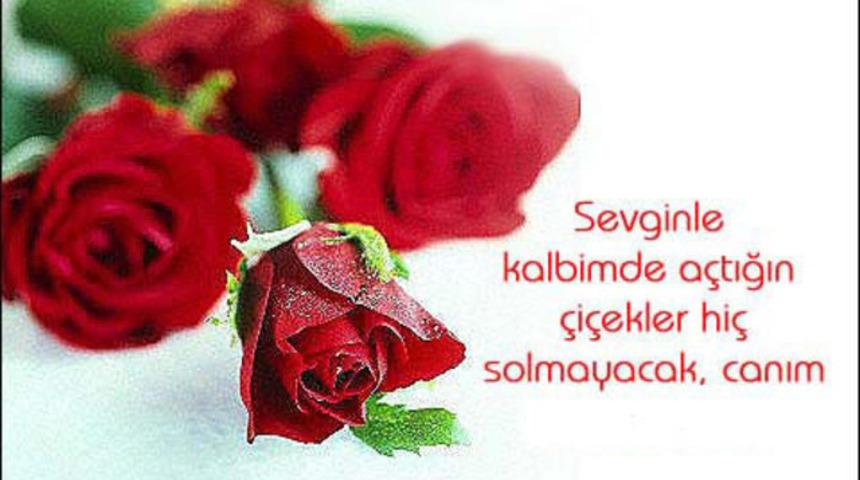 Sevgiliye bayram mesajları 2019: Romantik ve anlamlı Kurban Bayramı mesajları listesi