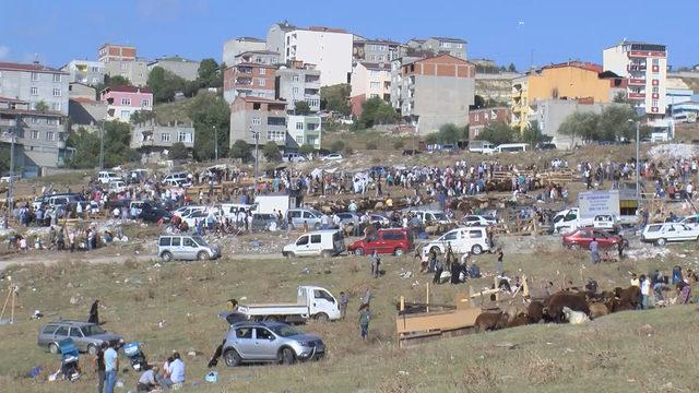 Başakşehir'de boş arsa kaçak kesim yapanlarla doldu