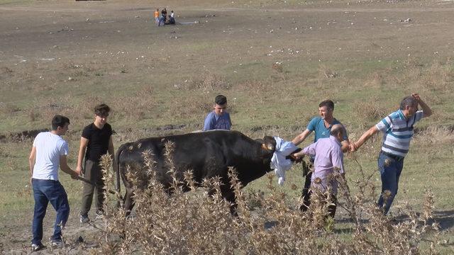 Başakşehir'de boş arsa kaçak kesim yapanlarla doldu