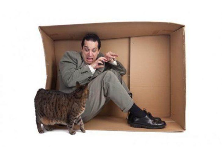  İnsanların en ilginç korkuları G5