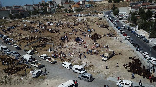 /havadan fotoğraflar / Başakşehir'de boş arsa kaçak kesim yapanlarla doldu