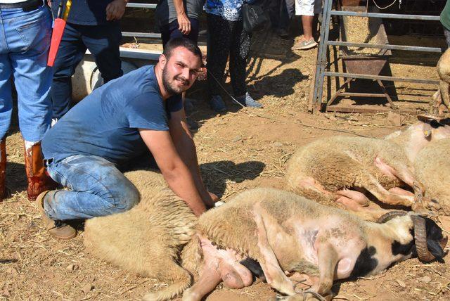 İzmir'de kurban kesim yerleri yetersiz kaldı