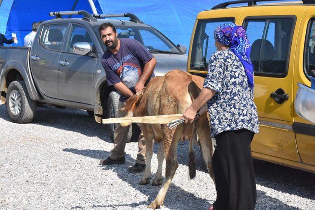 İzmir'de kurban kesim yerleri yetersiz kaldı