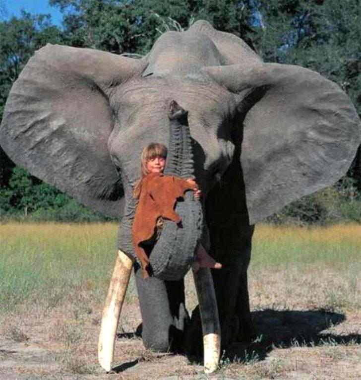  Leopar ve fillerle büyümüştü! O kız çocuğuna bir de şimdi bakın G3