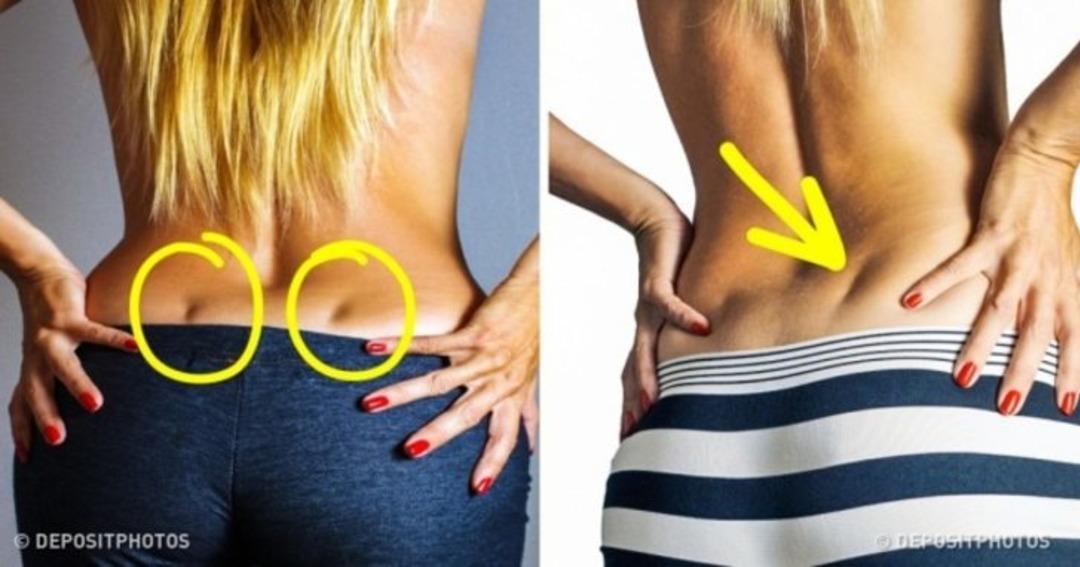 V&uuml;cudumuzun bu b&ouml;lgesi ne işe yarıyor?