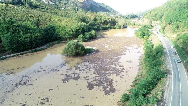 Sera G&ouml;l&uuml; odun, &ccedil;&ouml;p ve bal&ccedil;ıkla kaplandı 4