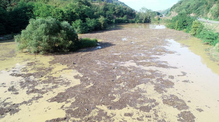 Sera G&ouml;l&uuml; odun, &ccedil;&ouml;p ve bal&ccedil;ıkla kaplandı